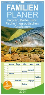 Familienplaner 2024 - Karpfen, Barbe, Stör: Fische in europäischen Gewässern mit 5 Spalten (Wandkalender, 21 x 45 cm) CALVENDO
