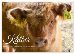 Kälber - Kleine Herzensbrecher auf den Wiesen (Tischkalender 2024 DIN A5 quer), CALVENDO Monatskalender