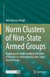 Norm Clusters of Non-State Armed Groups - Bild 1