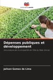 Dépenses publiques et développement