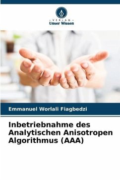 Inbetriebnahme des Analytischen Anisotropen Algorithmus (AAA) - Fiagbedzi, Emmanuel Worlali