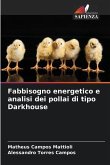 Fabbisogno energetico e analisi dei pollai di tipo Darkhouse