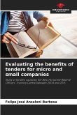 Evaluating the benefits of tenders for micro and small companies