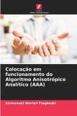 Colocação em funcionamento do Algoritmo Anisotrópico Analítico (AAA)