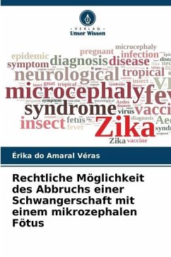 Rechtliche Möglichkeit des Abbruchs einer Schwangerschaft mit einem mikrozephalen Fötus - do Amaral Véras, Érika