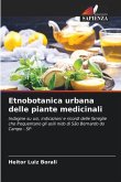 Etnobotanica urbana delle piante medicinali