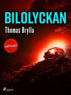 Cover Bilolyckan (eBook, ePUB)