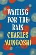 Waiting for the Rain (eBook, ePUB) - Bild 1