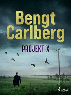 Cover Projekt X (eBook, ePUB)