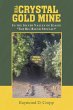 The Crystal Gold Mine (eBook, ePUB) - Bild 1