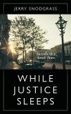 WHILE JUSTICE SLEEPS (eBook, ePUB)