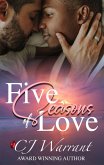 Five Seasons of Love (A Chance At Love Series, #2.5) (eBook, ePUB)