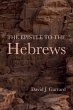 The Epistle to the Hebrews (eBook, ePUB) - Bild 1