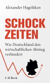 Schock-Zeiten (eBook, PDF)
