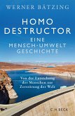 Homo destructor (eBook, ePUB)