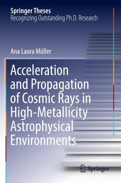 Acceleration and Propagation of Cosmic Rays in High-Metallicity Astrophysical Environments - Müller, Ana Laura