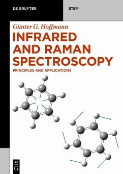 Infrared and Raman Spectroscopy (eBook, PDF) - Hoffmann, Günter G.