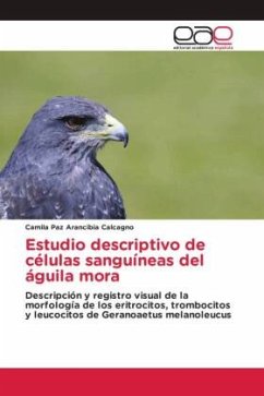 Estudio descriptivo de células sanguíneas del águila mora - Arancibia Calcagno, Camila Paz