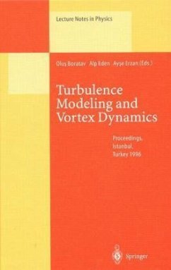 Cover Turbulence Modeling and Vortex Dynamics