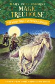Windy Night with Wild Horses (eBook, ePUB)
