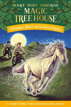 Cover Windy Night with Wild Horses (eBook, ePUB)