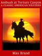 Ambush at Torture Canyon (eBook, ePUB) - Bild 1