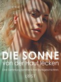 Die Sonne von der Haut lecken: Eine Sammlung sommerlicher Erotikgeschichten (eBook, ePUB)