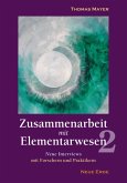 Zusammenarbeit mit Elementarwesen 2 (eBook, ePUB)