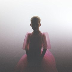 Cover Alles Ist Nur Übergang (Limited Pink Vinyl)