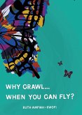 Why Crawl... When You Can Fly? (eBook, ePUB)
