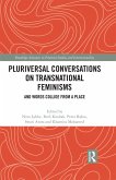 Pluriversal Conversations on Transnational Feminisms (eBook, PDF)