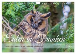 Eulen in Franken (Wandkalender 2024 DIN A4 quer), CALVENDO Monatskalender