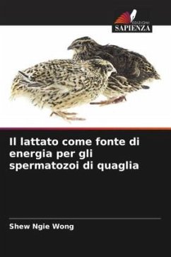 Il lattato come fonte di energia per gli spermatozoi di quaglia - Wong, Shew Ngie