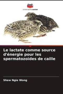 Le lactate comme source d'énergie pour les spermatozoïdes de caille - Wong, Shew Ngie