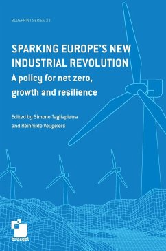 Sparking Europe's new industrial revolution - Tagliapietra, Simone; Veugelers, Reinhilde