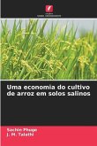 Uma economia do cultivo de arroz em solos salinos