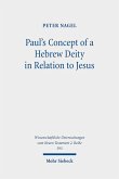 Paul's Concept of a Hebrew Deity in Relation to Jesus (eBook, PDF)