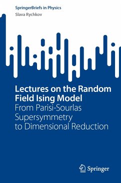 Lectures on the Random Field Ising Model (eBook, PDF) - Rychkov, Slava