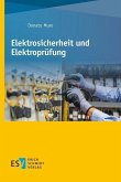 Elektrosicherheit und Elektroprüfung (eBook, PDF)