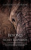 Beyond the Secret Elephants (eBook, ePUB)