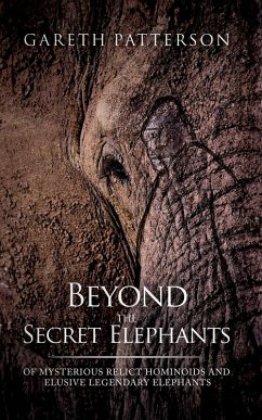 Beyond the Secret Elephants (eBook, ePUB) - Patterson, Gareth