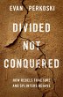 Divided Not Conquered (eBook, PDF) - Bild 1