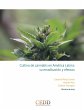 Cultivo de cannabis en América Latina,... - Bild 1