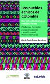 Los pueblos étnicos de Colombia. Derechos territoriales y reparaciones. (eBook, PDF)