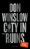 City in Ruins / City on Fire Bd.3 (eBook, ePUB)