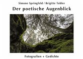 Der poetische Augenblick (eBook, ePUB)
