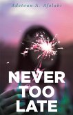 Never Too Late (eBook, ePUB)