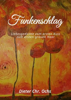 Funkenschlag - Ochs, Dieter Christian