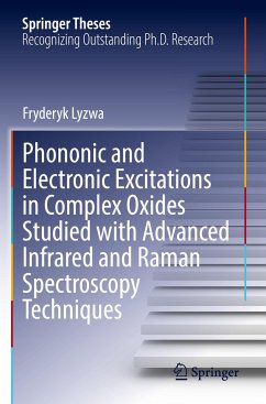 Phononic and Electronic Excitations in Complex Oxides Studied with Advanced Infrared and Raman Spectroscopy Techniques - Lyzwa, Fryderyk