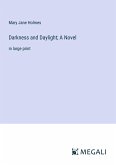 Darkness and Daylight; A Novel